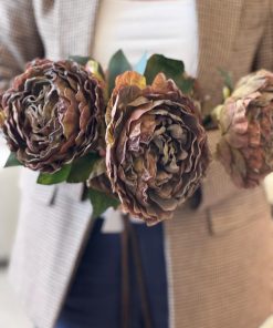Vara peonia