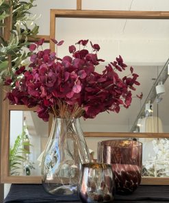 Ramo eucalipto bordo